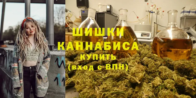 купить наркотик  Магадан  Канабис Amnesia 